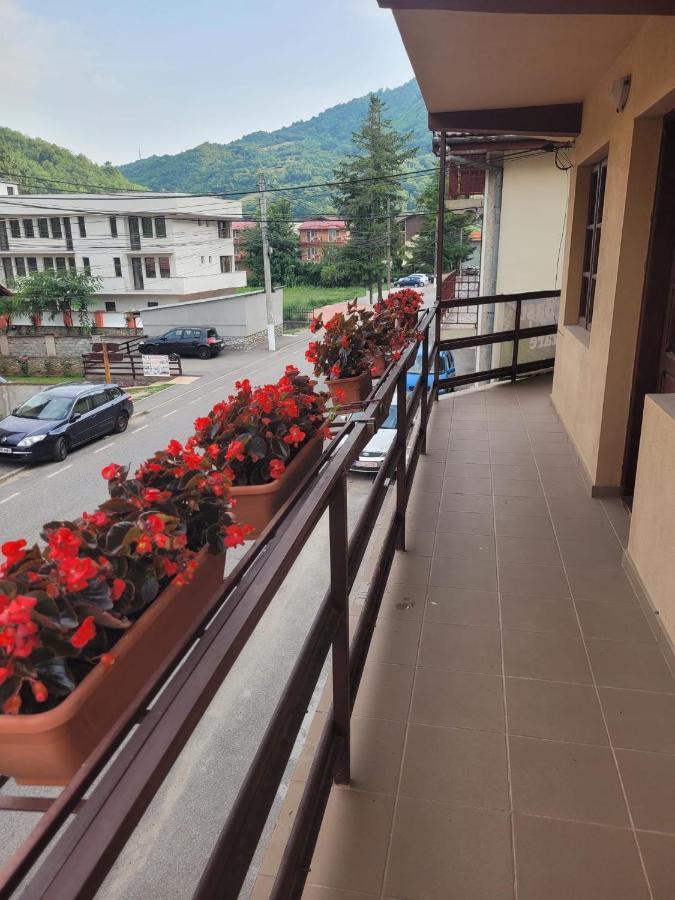 Casa Basu Villa Baile Herculane Exterior photo