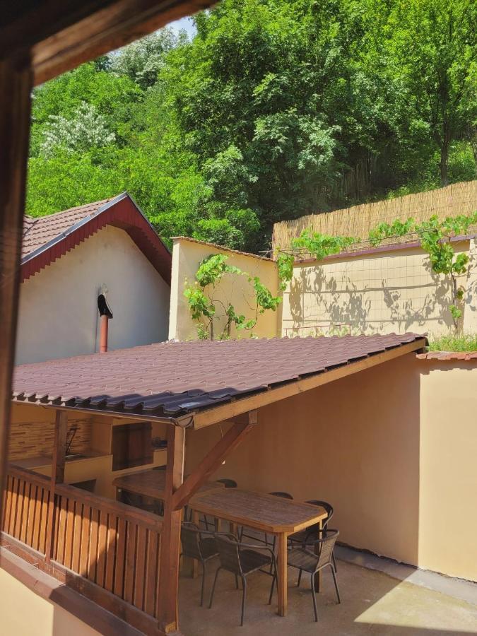 Casa Basu Villa Baile Herculane Exterior photo